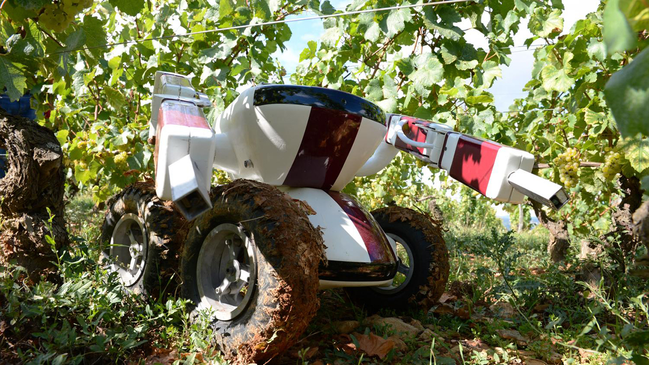 Robótica en agricultura: perspectivas y avances
