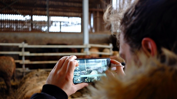 Ganadería digital, herramientas y APPs para la granja del siglo XXI