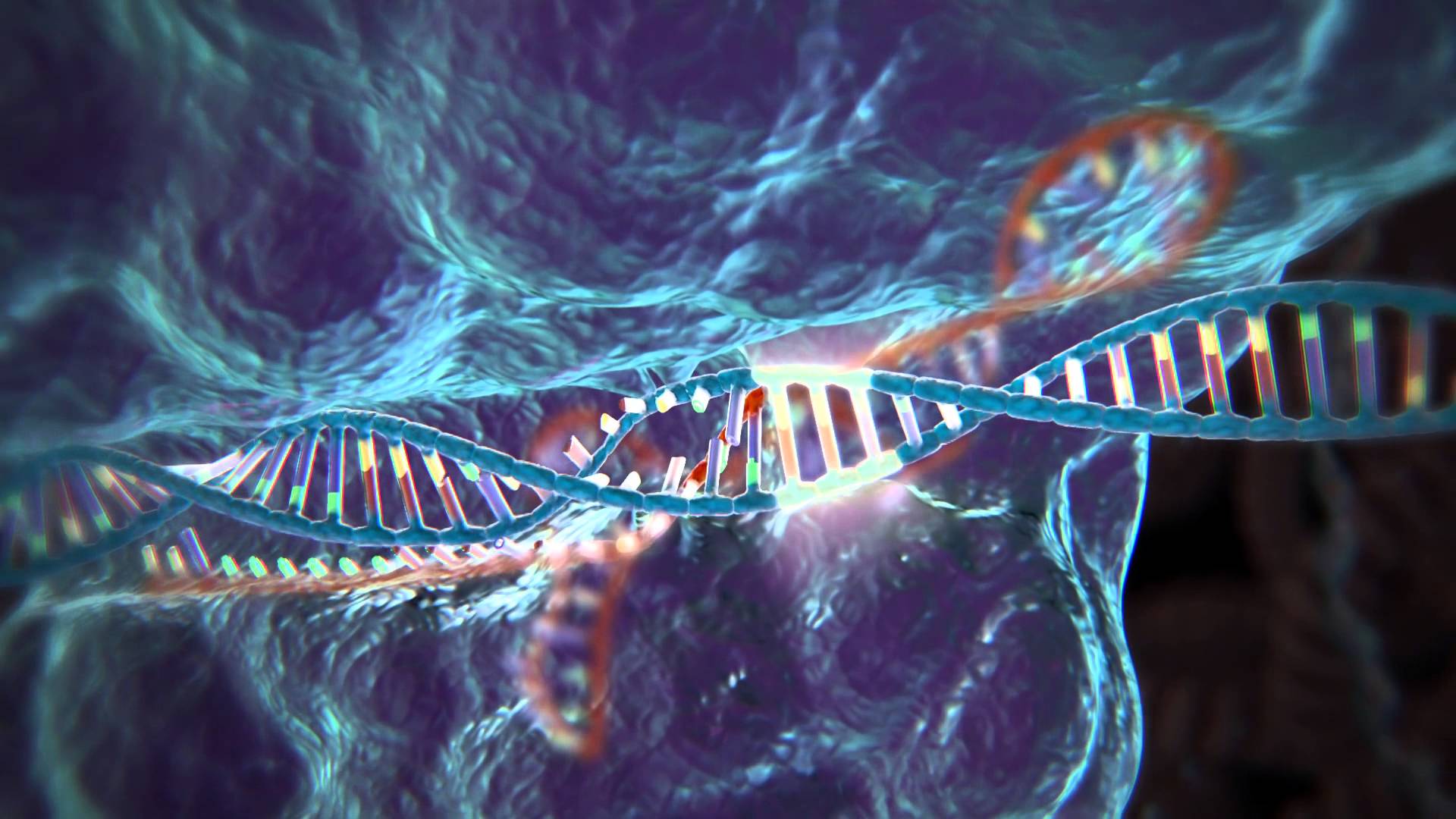 CRISPR, el futuro de la biotecnología agrícola